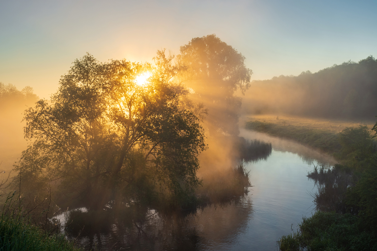 Весняне світло