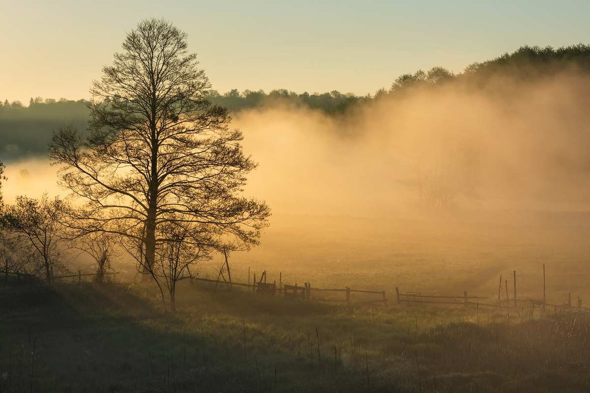 Ранкові чари