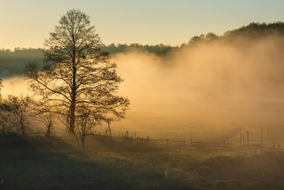 Ранкові чари