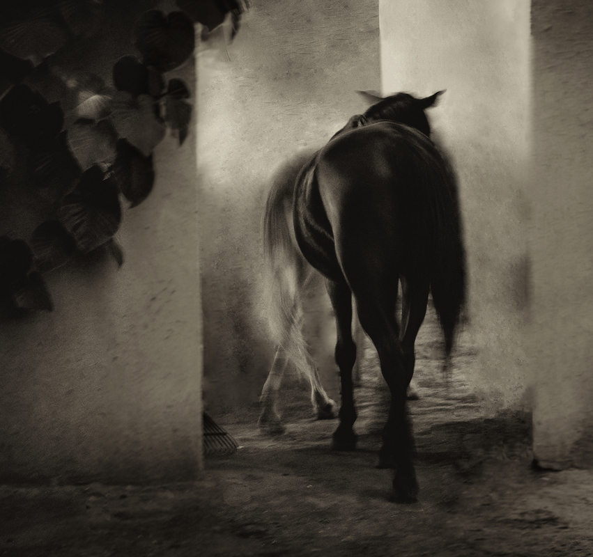 Поклик крові