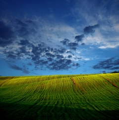 Останні промені