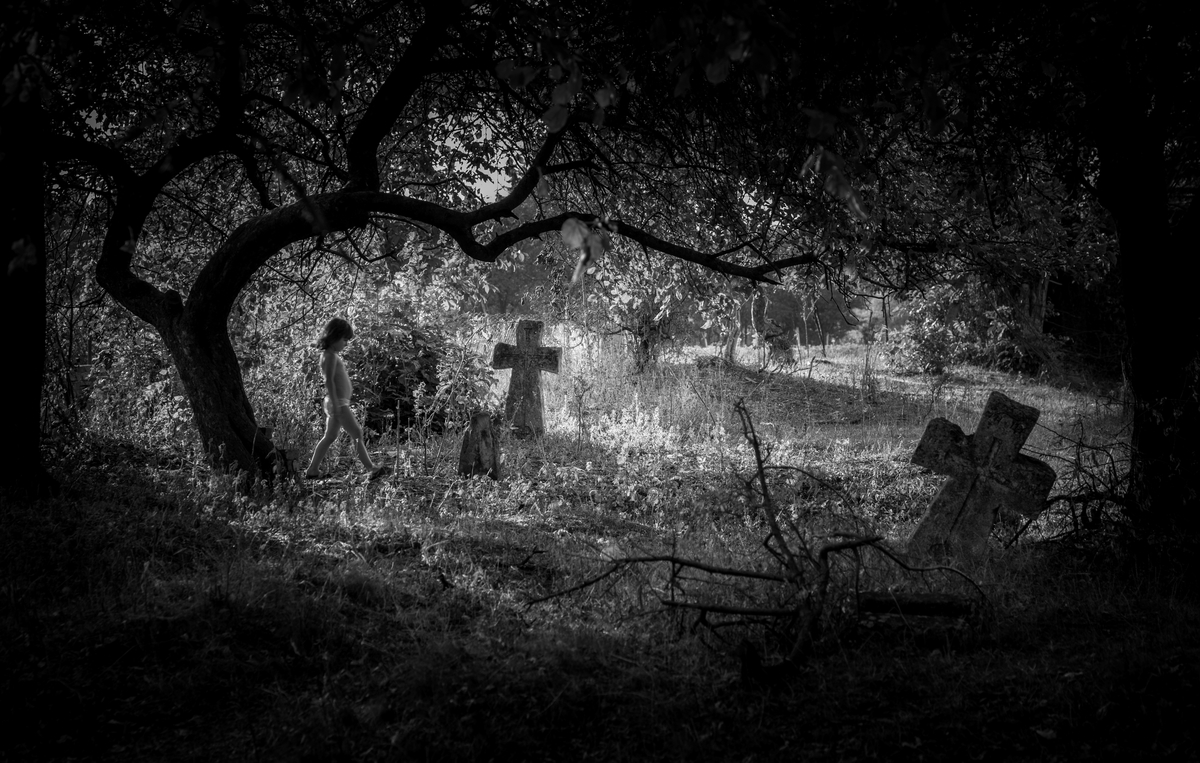 Під гілками старої яблуні