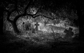 Під гілками старої яблуні