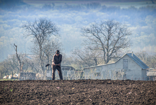 Весняні турботи