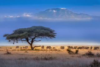 Kilimanjaro