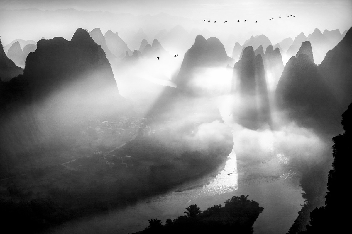 Startled birds among mist