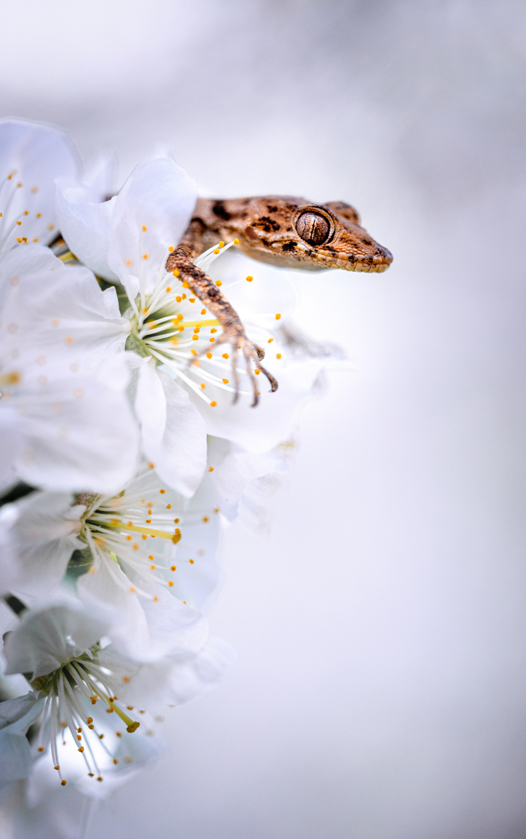 наружу к весне