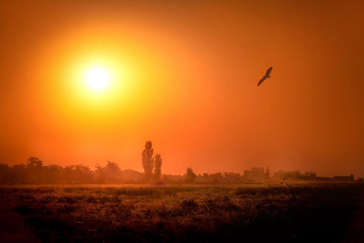 на закате лета