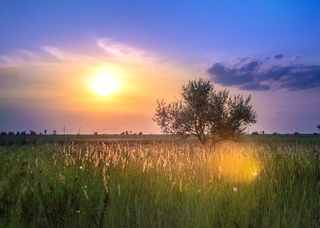 красками лета