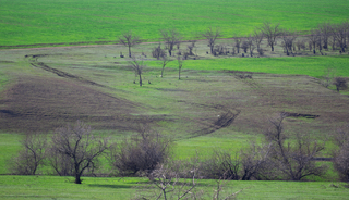 линиями троп