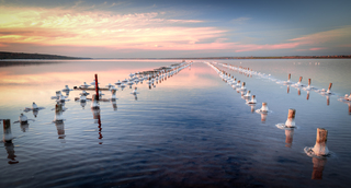 закатными красками куяльника