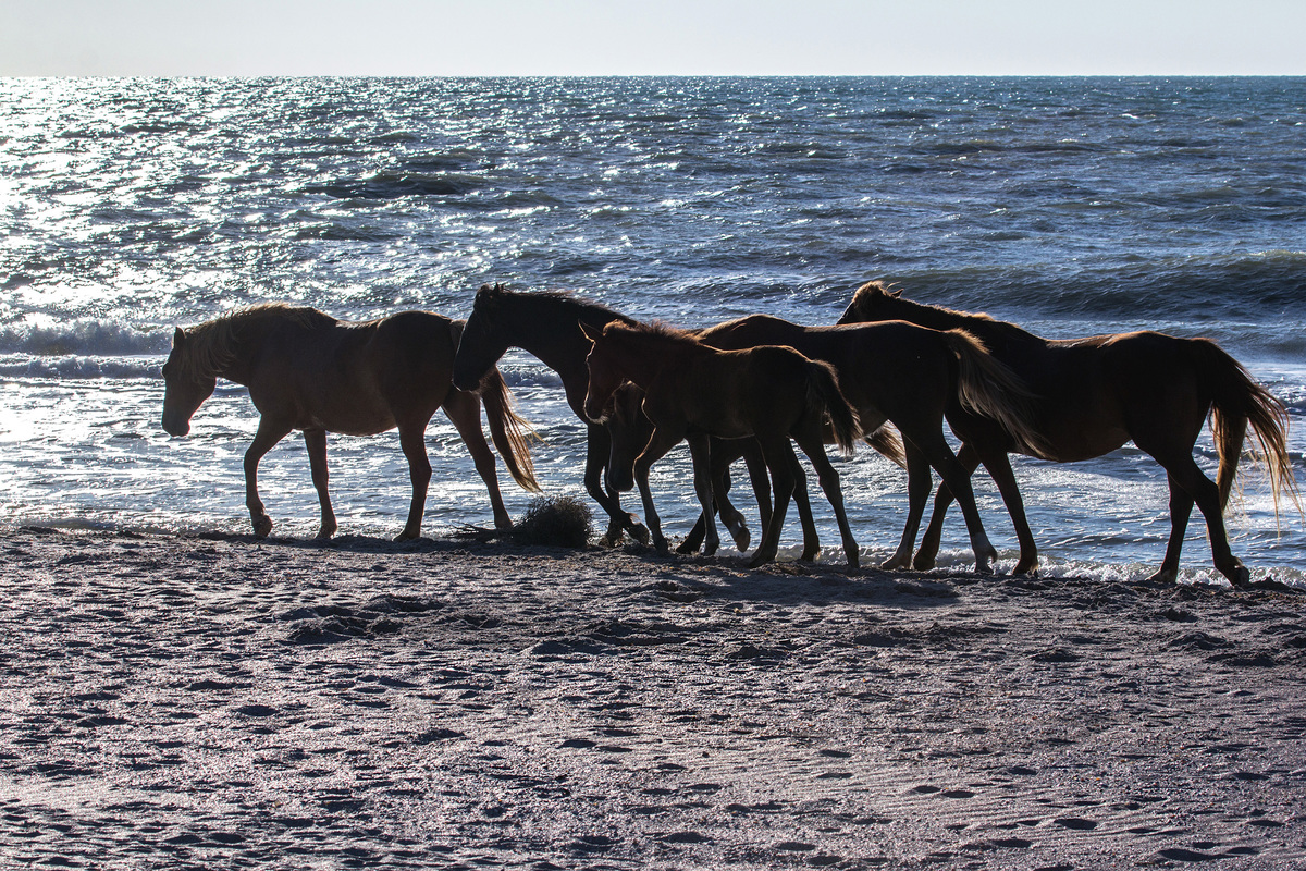 Назустріч сонцю
