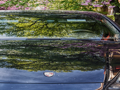 Рожеве відображення