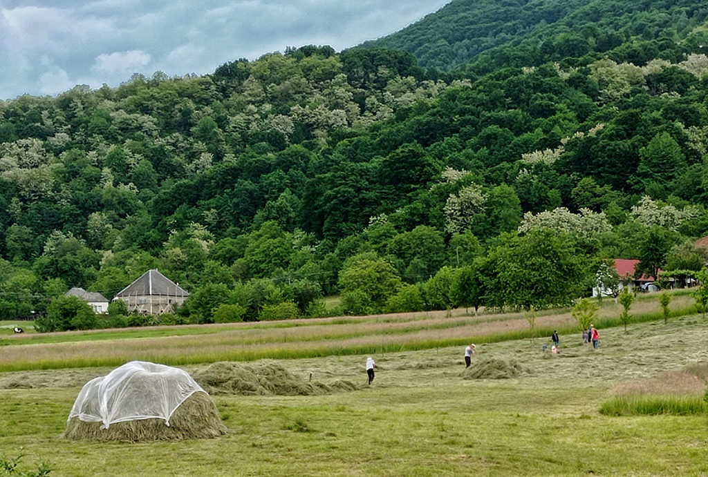 Сільський сюжет