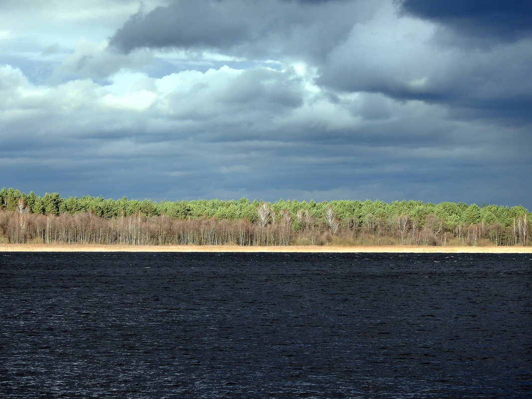 Before the spring thunder-storm