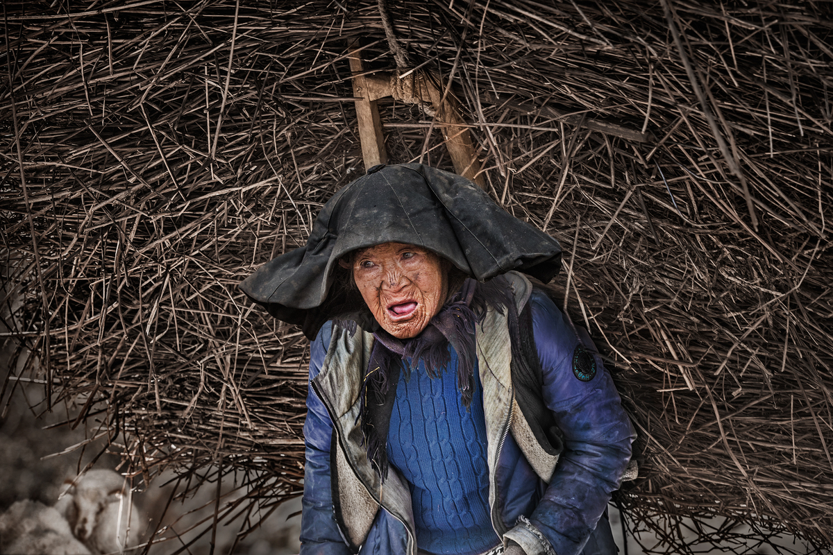 Chau Kei Checky Lam / Move Branches Chau Kei Checky Lam / Move Branches