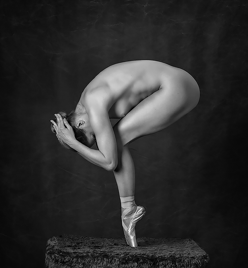 Stuart Anderson / Rounded Stuart Anderson / Rounded