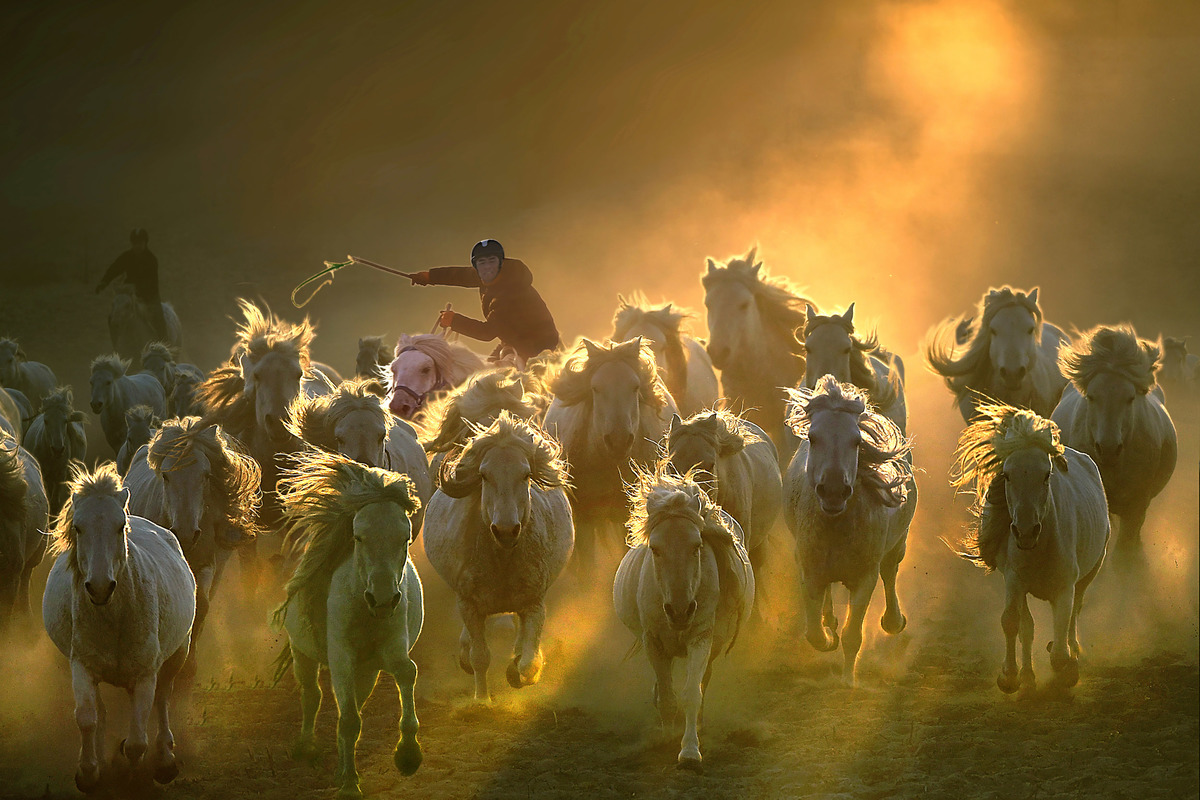 Strive to be the first