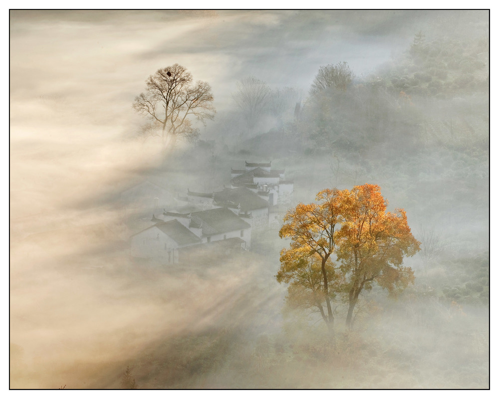 Jianjun  Huang  / Morning mist