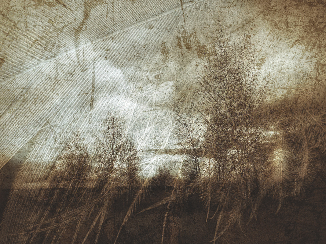 Спокій весняного вечора.