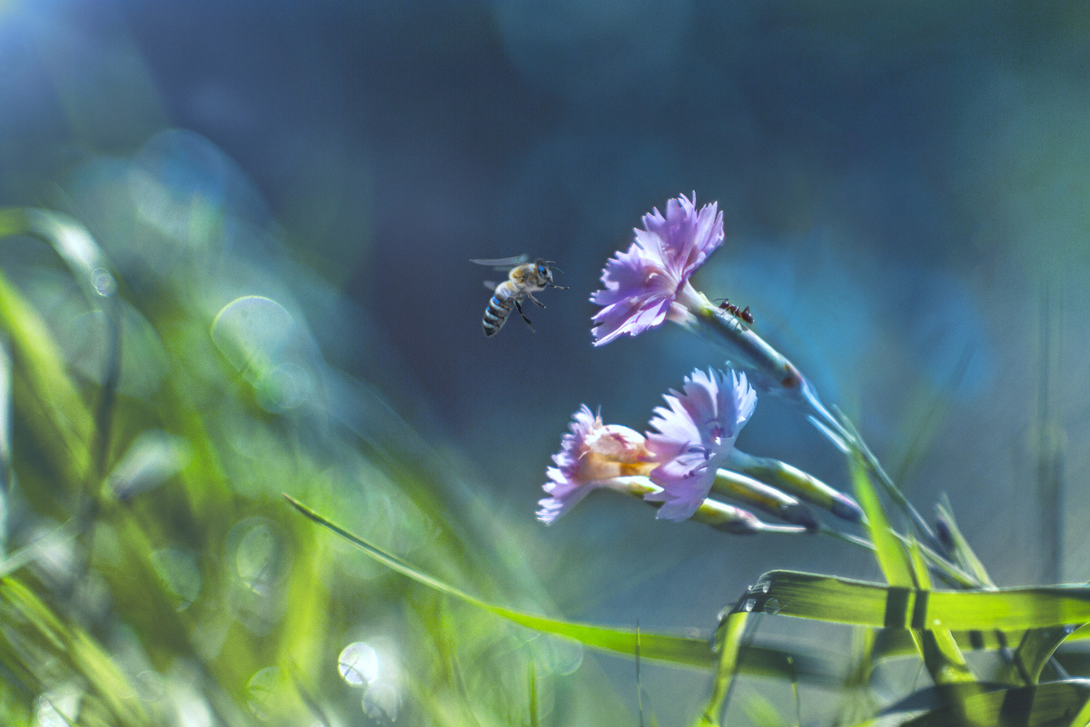 Start of the working day