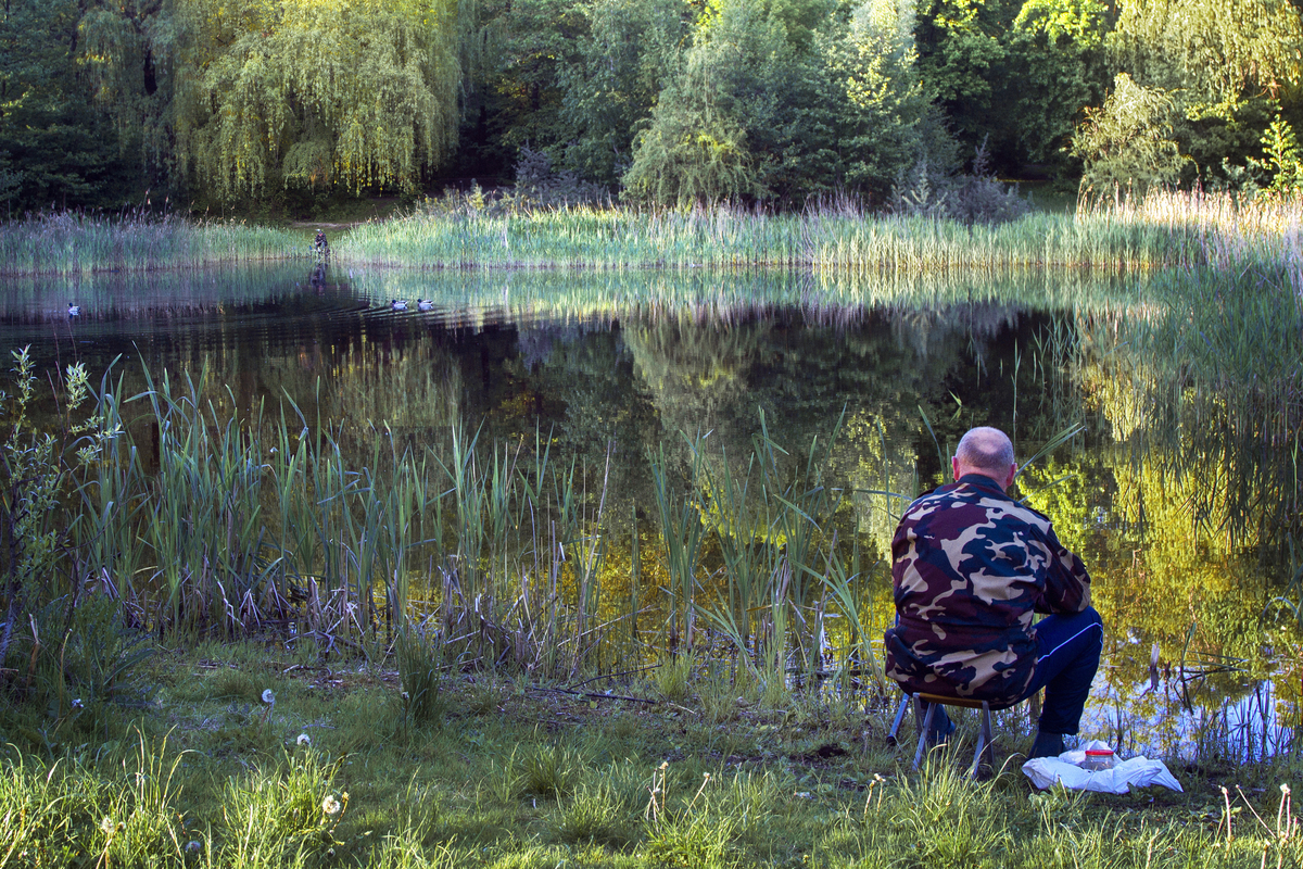 Reflection of silence