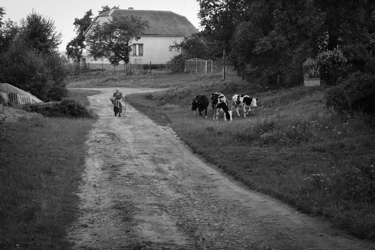 На пасовище