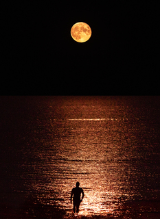 Місячна дорога