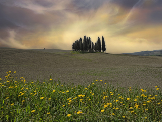 Toscane