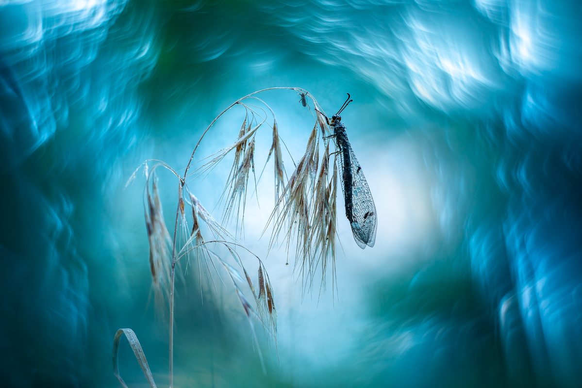 Serhii Miroshnyk / In the maelstrom of time