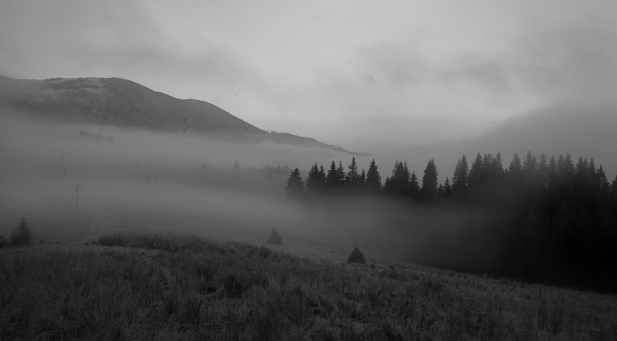 Fog in the mountains