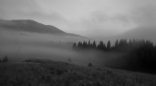 Fog in the mountains