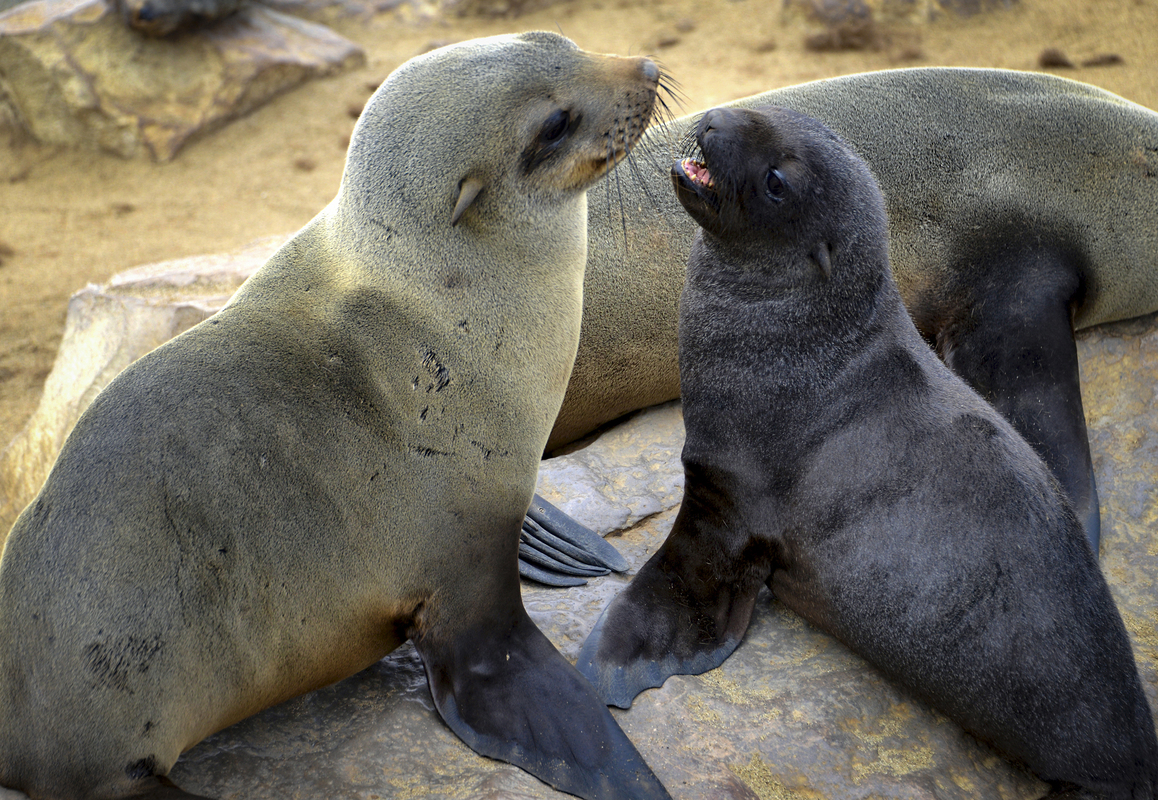 No problem with skin color