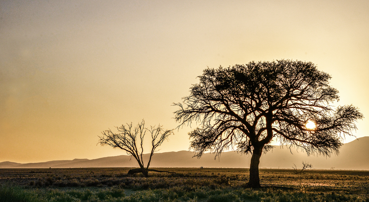 Sunset in Sossusvlei 2