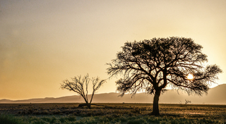 Sunset in Sossusvlei 2