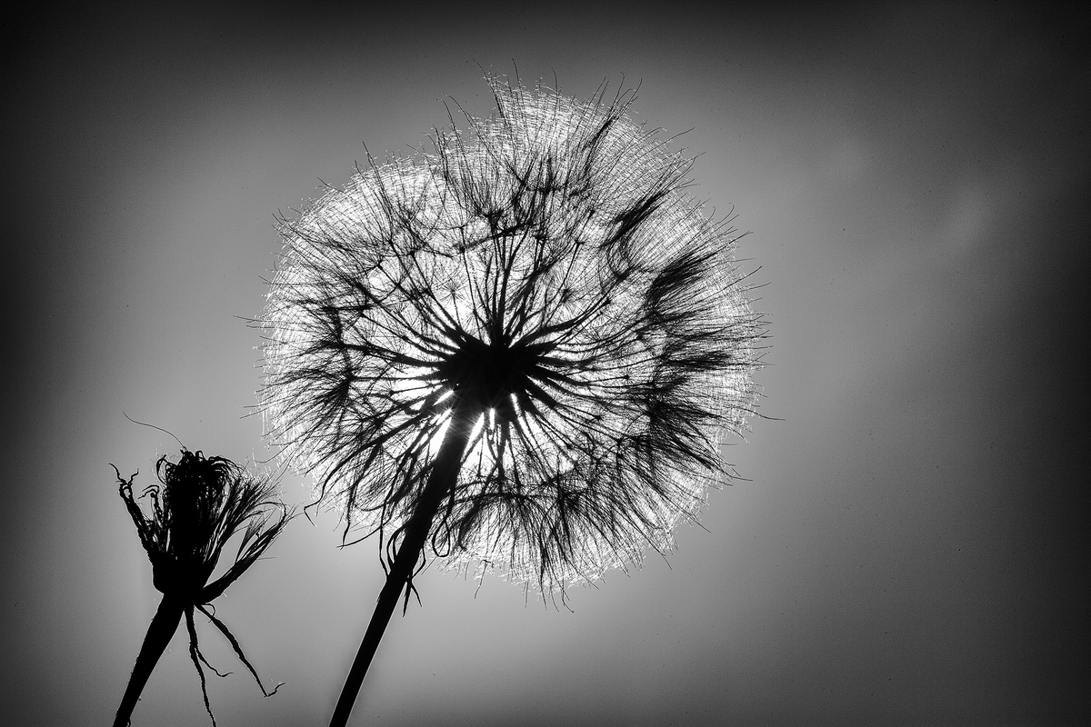 Воздушное Солнышко