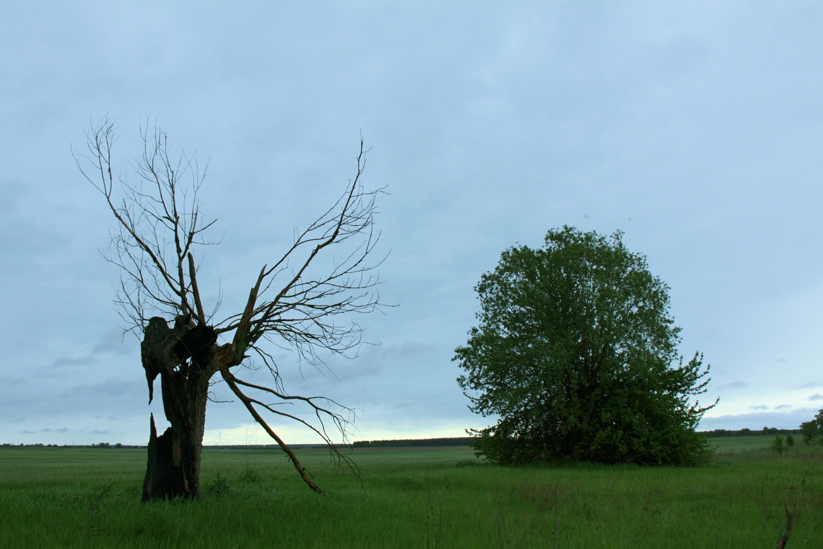 Старість і молодість.