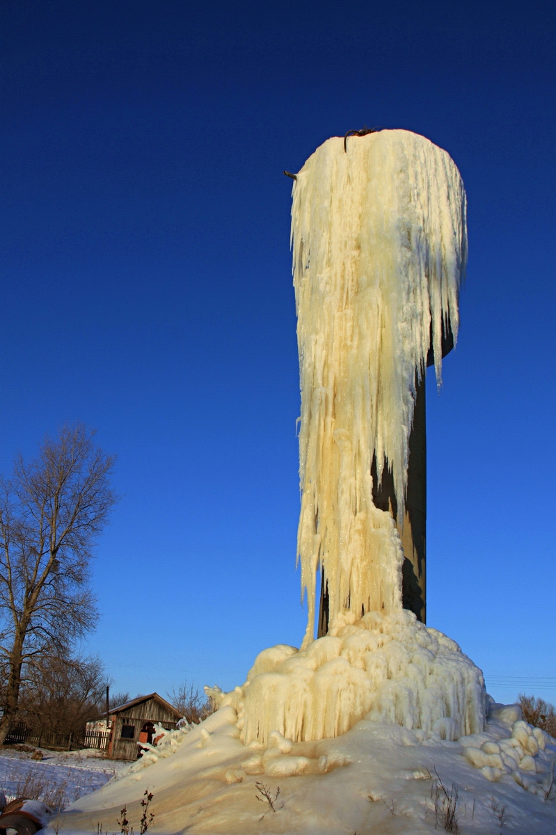 Бурулька-гігант
