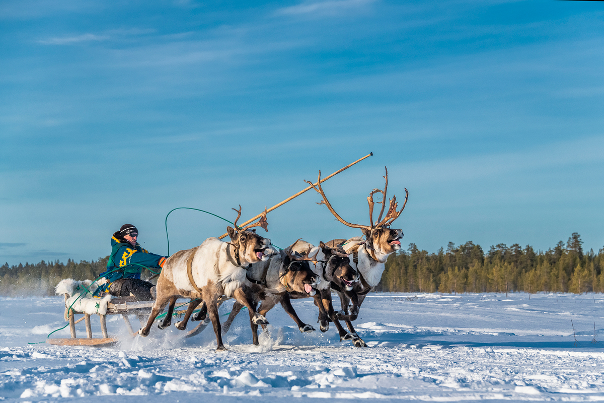 Faster than the wind