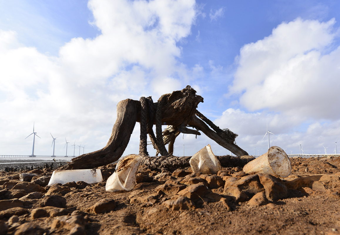 Two sides ot environment