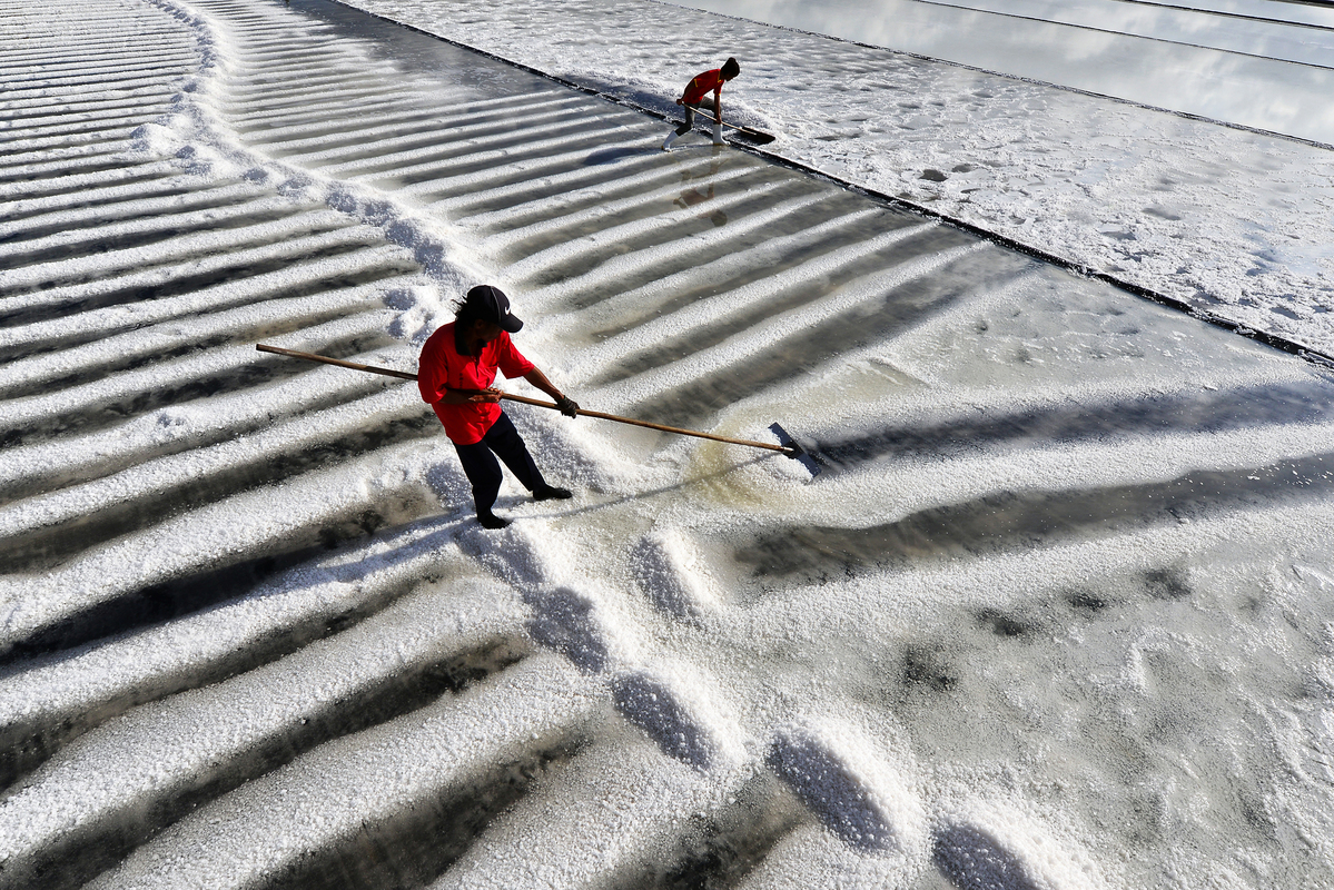 Working On Salt Field