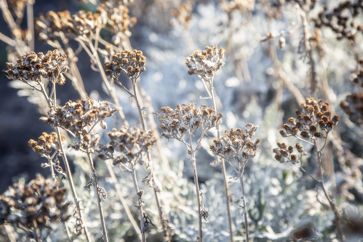 Начало осени 