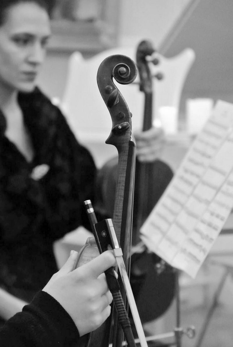 Первая скрипка...