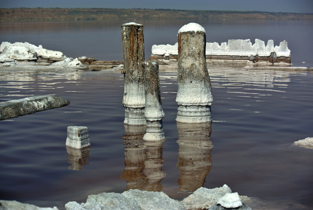 Соль Куяльника