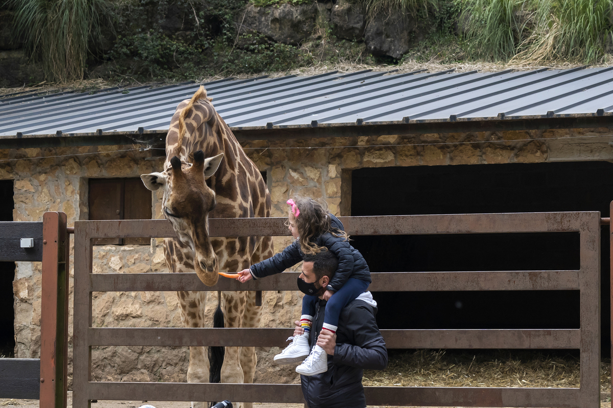 WILDLIFE THE OTHER SIDE_02