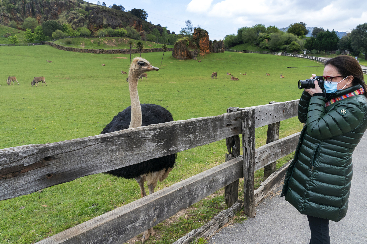 WILDLIFE THE OTHER SIDE_03