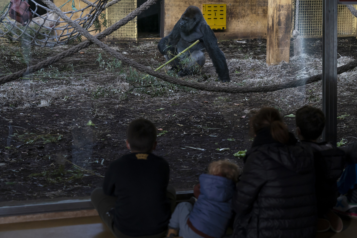 WILDLIFE THE OTHER SIDE_04