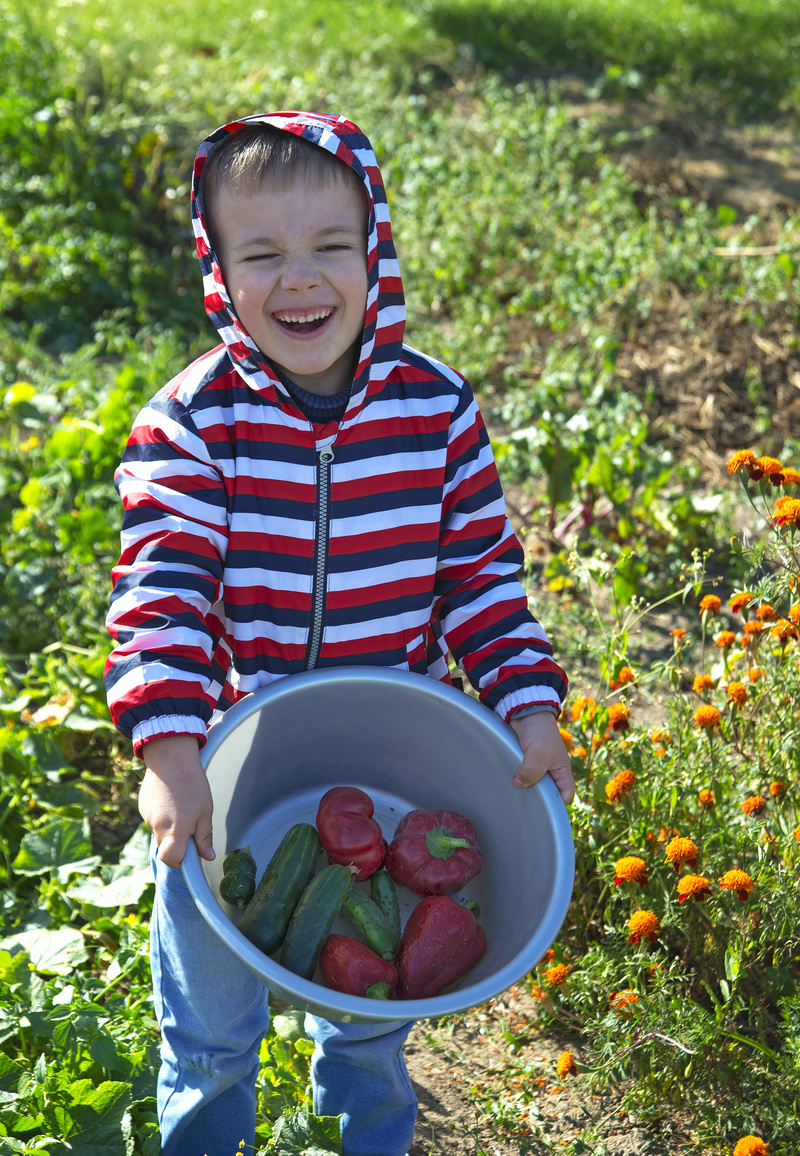Щедрий врожай