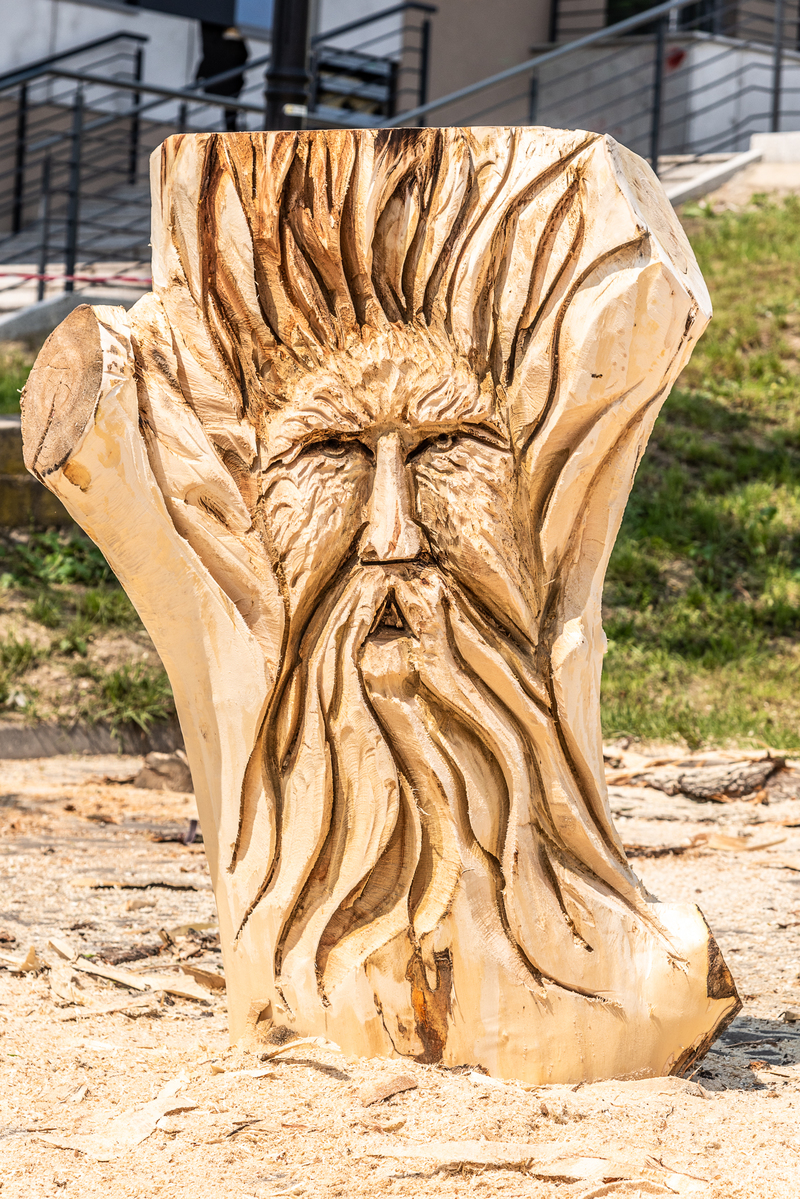 Duch lasu.  The spirit of the forest.