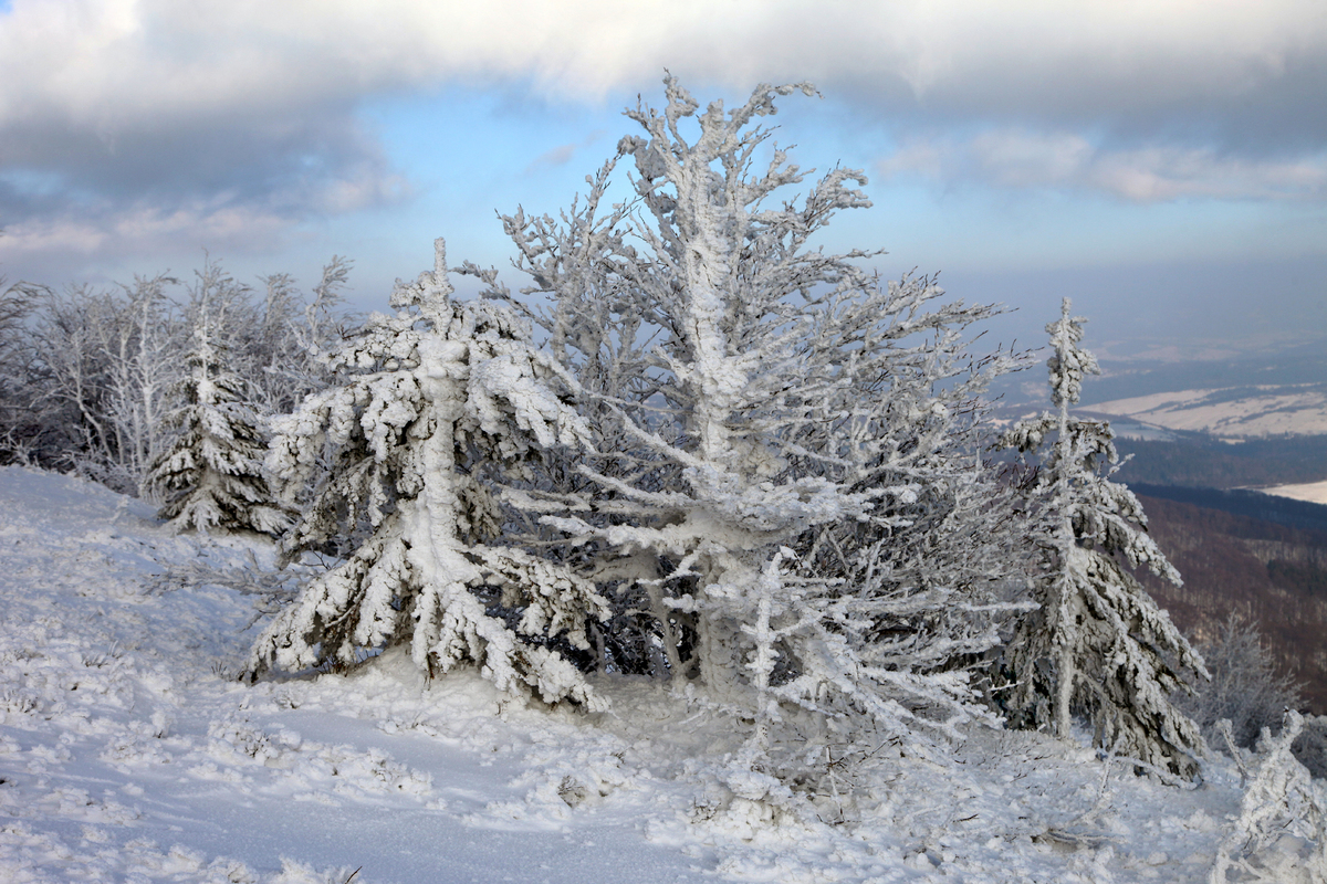 Бойківщина 